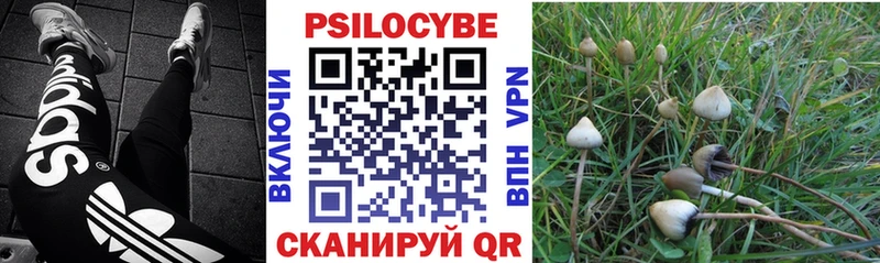 Галлюциногенные грибы Magic Shrooms  хочу наркоту  Славгород 