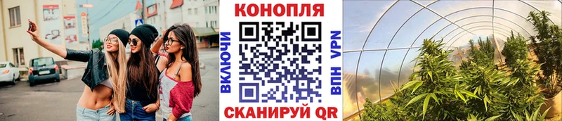 продажа наркотиков Славгород Каннабис SATIVA & INDICA